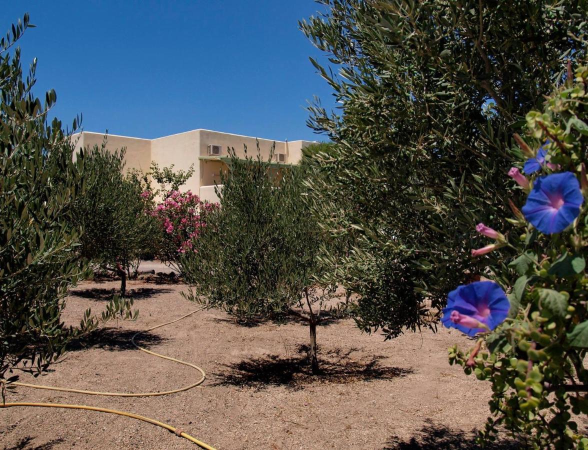 Flower And Crafts - The Eco Nature House Μονόλιθος Εξωτερικό φωτογραφία