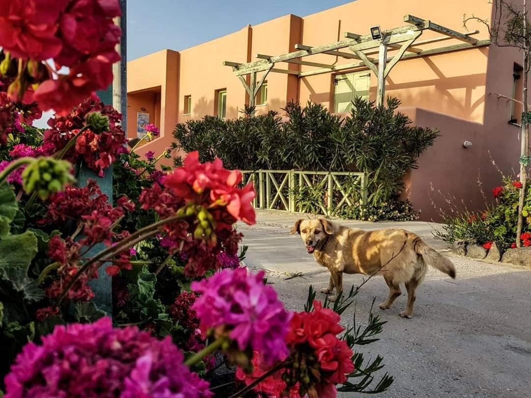 Flower And Crafts - The Eco Nature House Μονόλιθος Εξωτερικό φωτογραφία