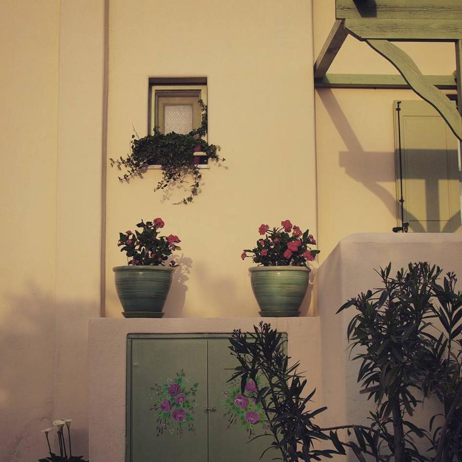Flower And Crafts - The Eco Nature House Μονόλιθος Εξωτερικό φωτογραφία