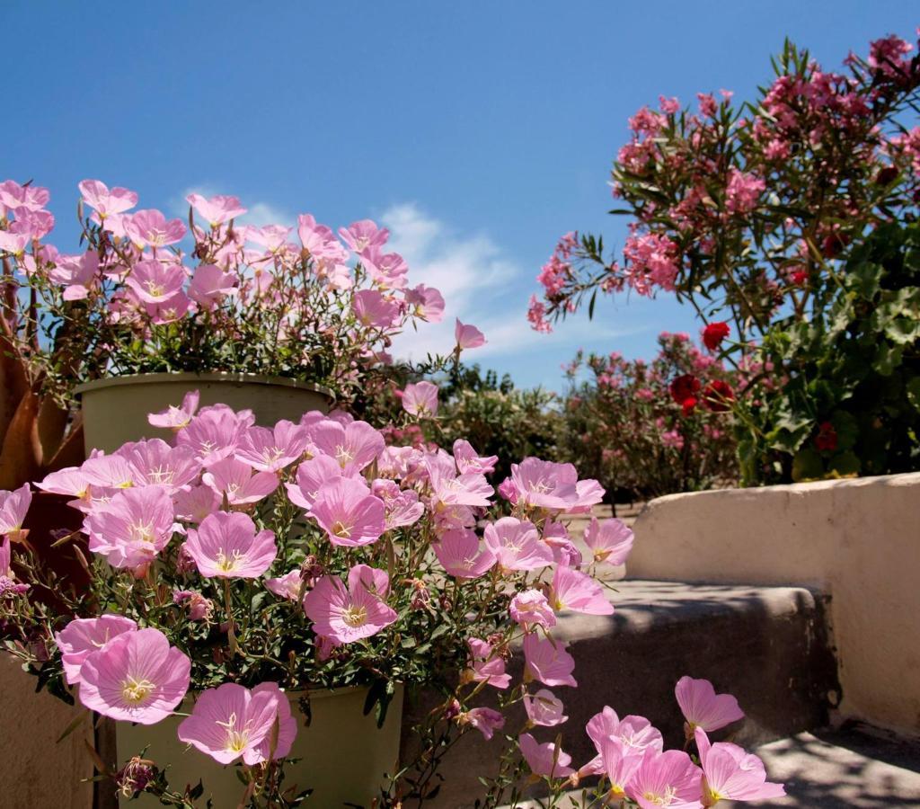 Flower And Crafts - The Eco Nature House Μονόλιθος Εξωτερικό φωτογραφία